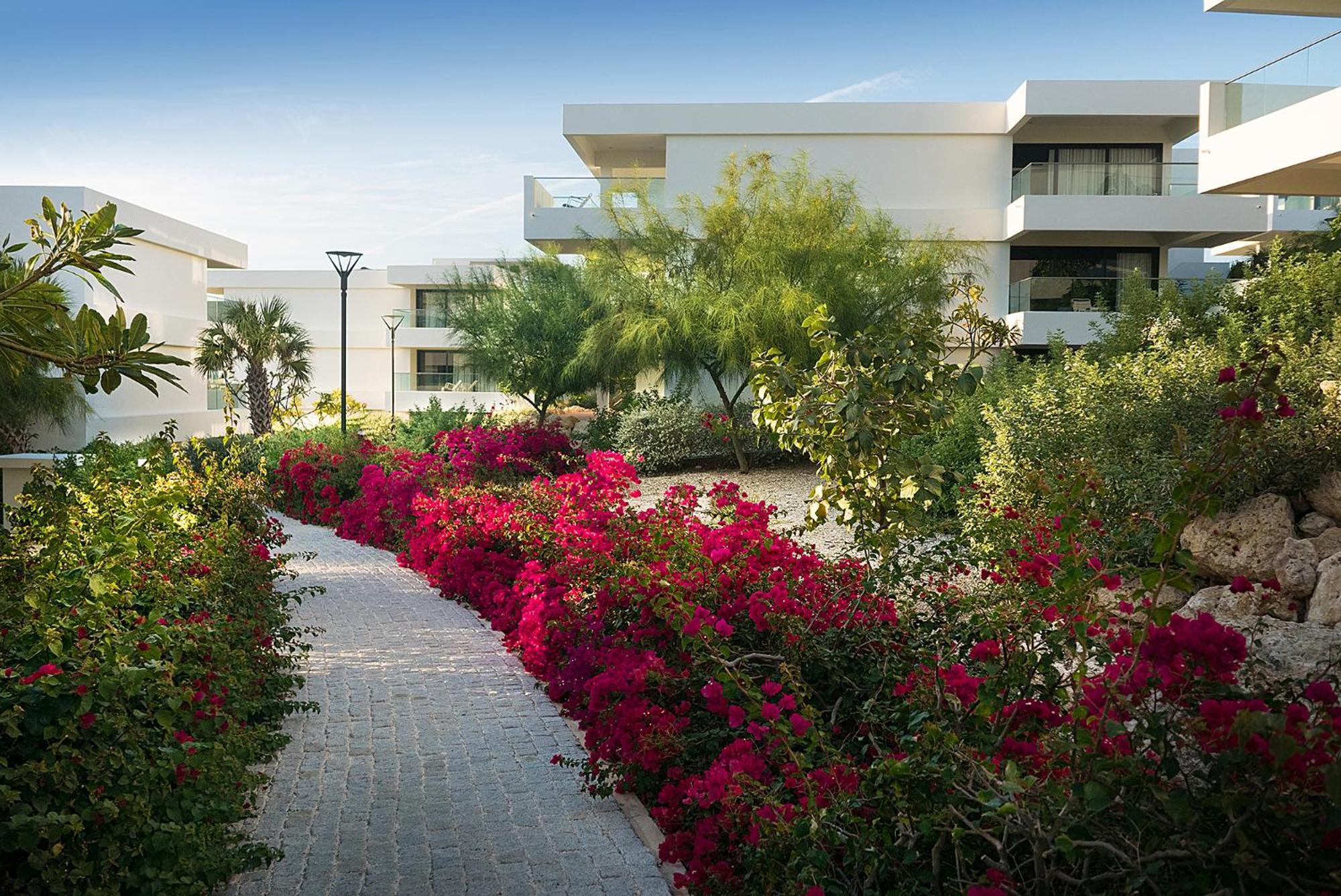 Papagayo Beach Hotel (Adults Only) Willemstad Dış mekan fotoğraf